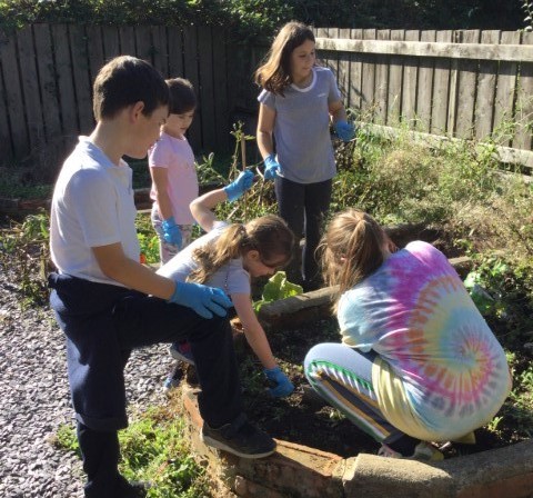 A group of children gardening together in a raised flower bed