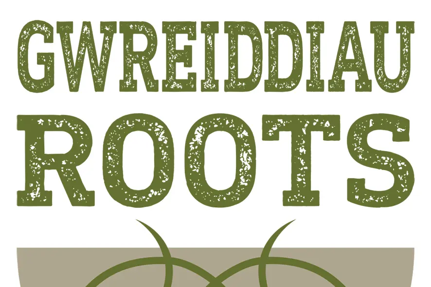 Gwreiddiau Roots