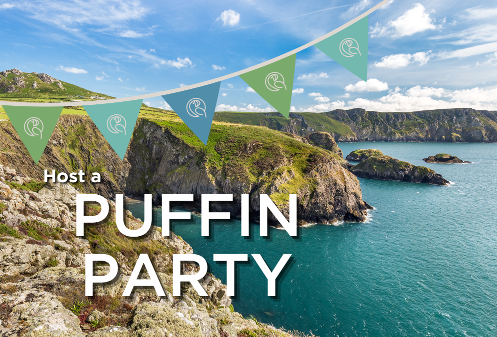 Host a Puffin Party to celebrate the Pembrokeshire Coast Charitable Trust’s fifth birthday