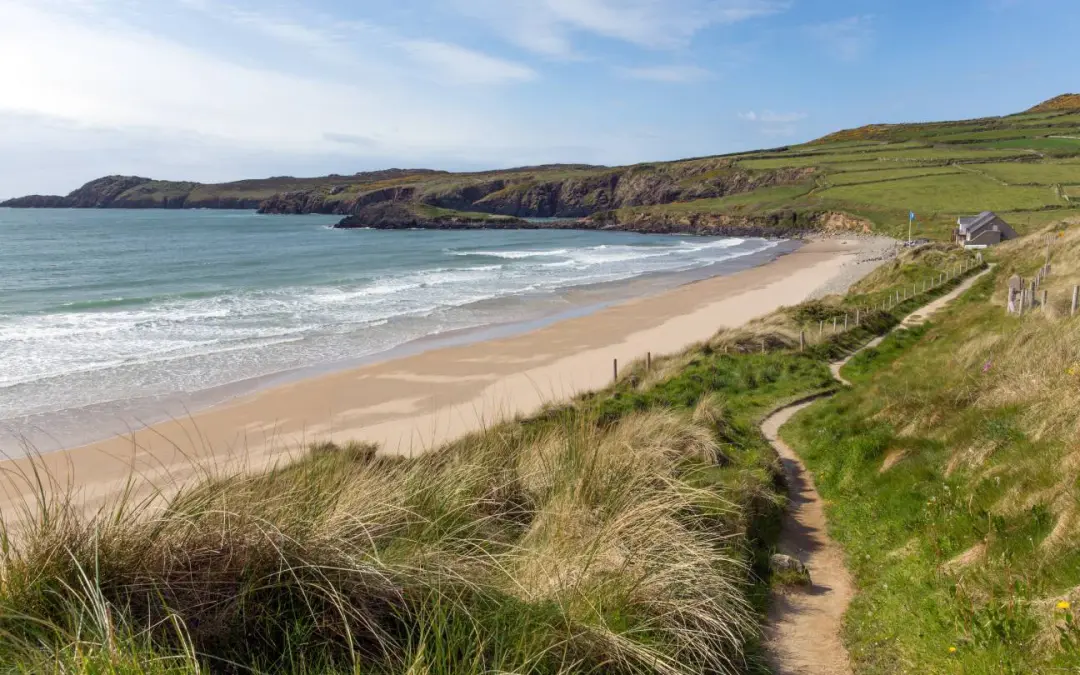 Help protect Pembrokeshire’s coastal paths this Big Give Week