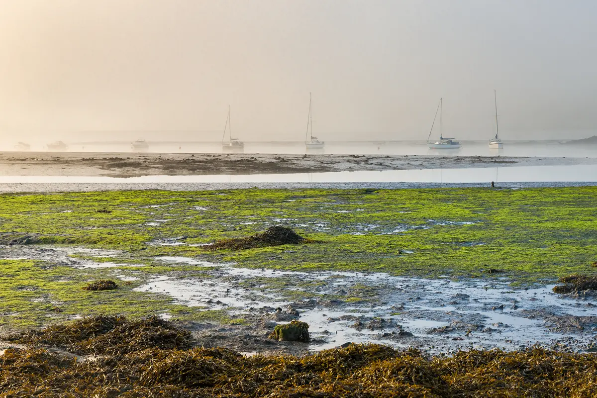 Lawrenny Cresswell River 