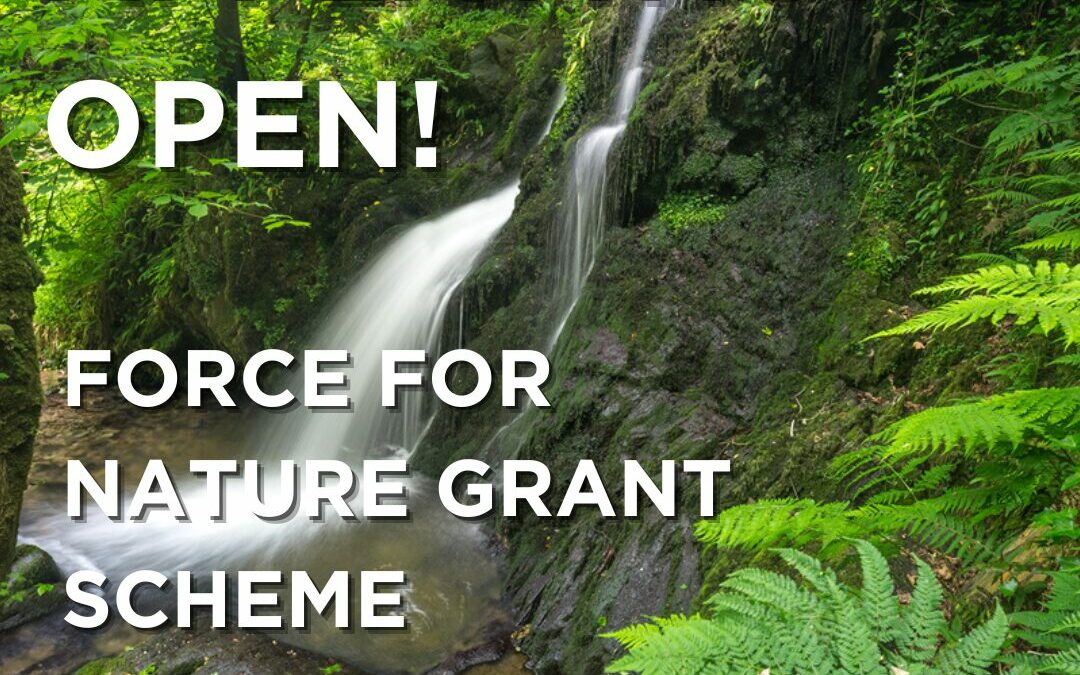 Funding nature’s future: Force for Nature grant scheme reopens for 2025