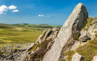 Discovering the Golden Road: guided walk and heritage stories in the Preseli Hills